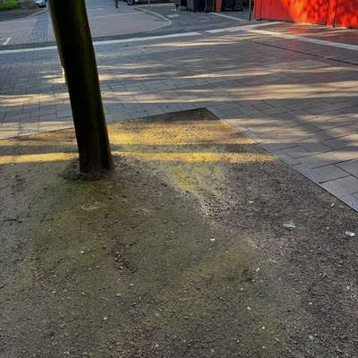 Giftköder-Rattengift-Bild