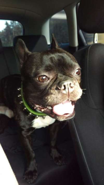 Das erste Foto-Beitrag-Bild