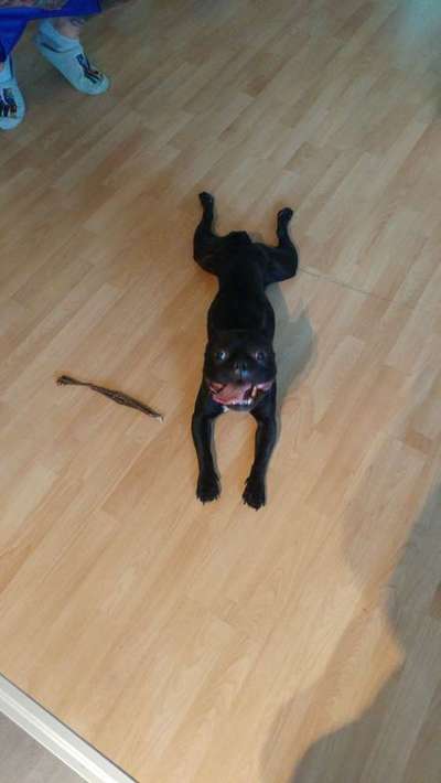 Das erste Foto-Beitrag-Bild