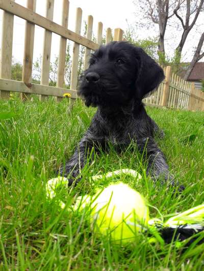 21. Farben / Foto Challenge - Neon / Leuchtfarben-Beitrag-Bild