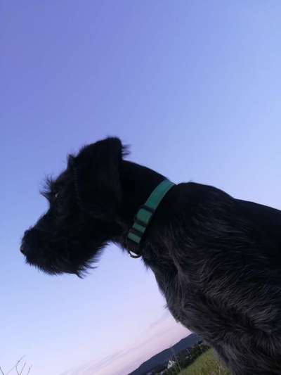 23. Farben / Fotochallenge - Türkis --Beitrag-Bild