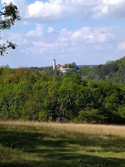 In welchem bundesland lebt ihr-Beitrag-Bild