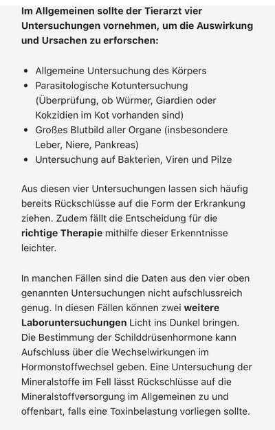 Wissen nicht mehr weiter-Beitrag-Bild