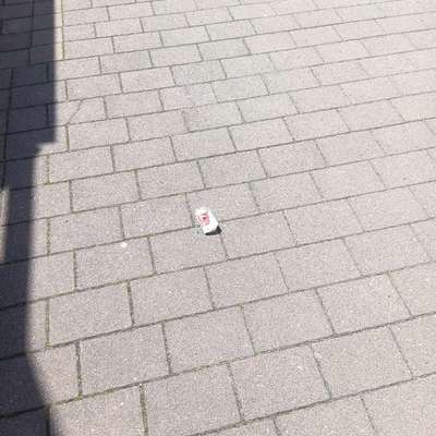 Giftköder-Giftköder von Abfall-Bild