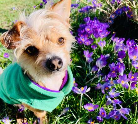 Handy-Foto Challange Nr. 10-Beitrag-Bild