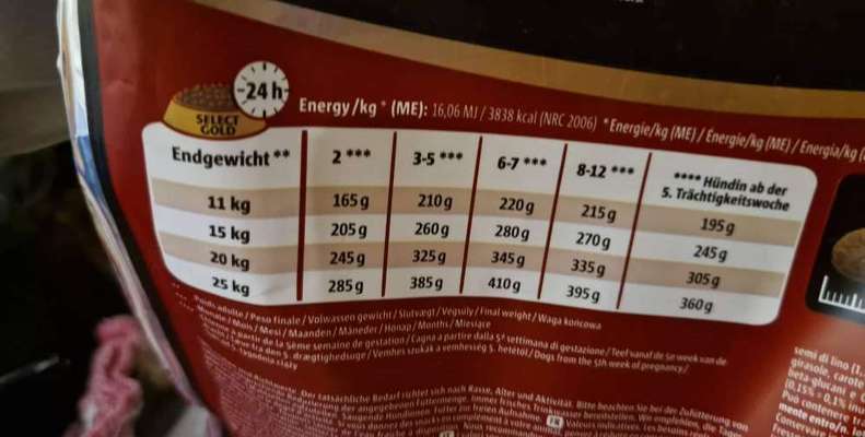 Futtermenge Nass und Trockenfutter für Welpe 4 Monate alt-Beitrag-Bild