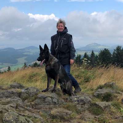 Hundetreffen-Training Hundebegegnungen, Gemeinsame Gassi und Spielrunden