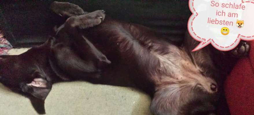 Fotochallenge Nr.65-Beitrag-Bild