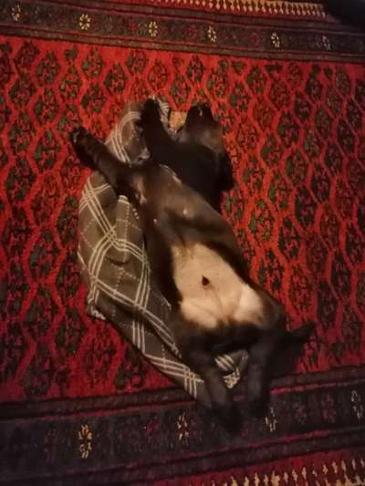 Fotochallenge Nr.65-Beitrag-Bild