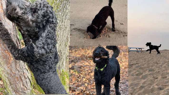 22. Collagen Challenge- Lebensfreude-Beitrag-Bild