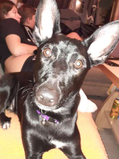 Fotochallange Nr. 57     PORTRÄT.   Beendet!!!!!!!!-Beitrag-Bild