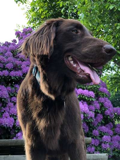 Fotochallenge Nr. 126-Beitrag-Bild