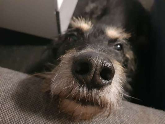 Fotochallange Nr. 57     PORTRÄT.   Beendet!!!!!!!!-Beitrag-Bild