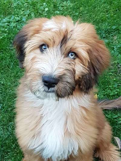 Foto Challenge 3-Beitrag-Bild