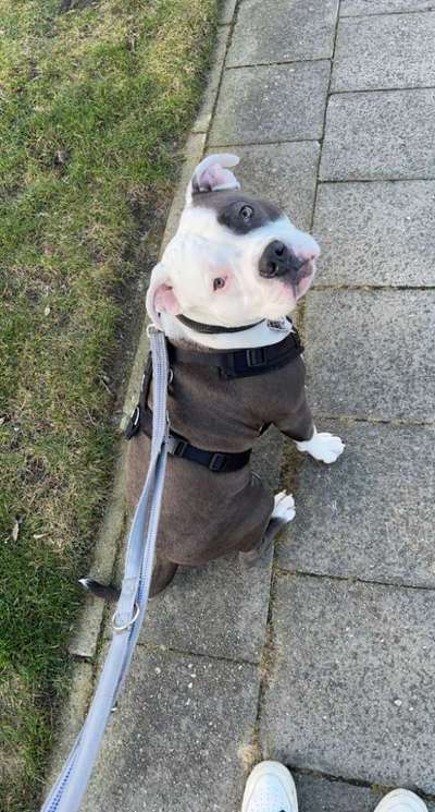 Von oben-Beitrag-Bild