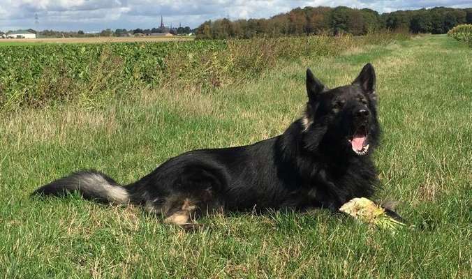 Vorher.... Nachher-Beitrag-Bild