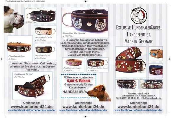 Wer macht Hundehalsbänder selber?-Beitrag-Bild