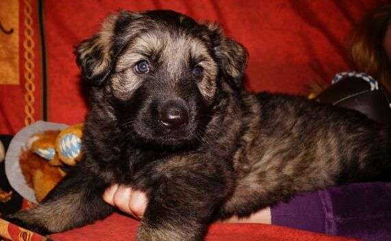 Vorher.... Nachher-Beitrag-Bild