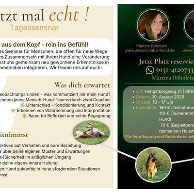 %{de_profession_title}-Jetzt mal echt!-Bild