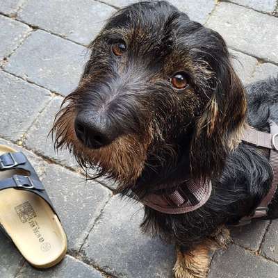 Rebecca's Profilbild