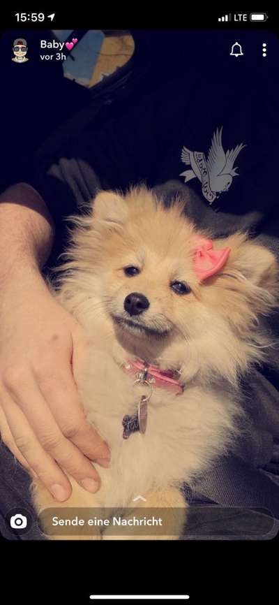 Fotochallenge Nr. 29 - Accessoires-Beitrag-Bild