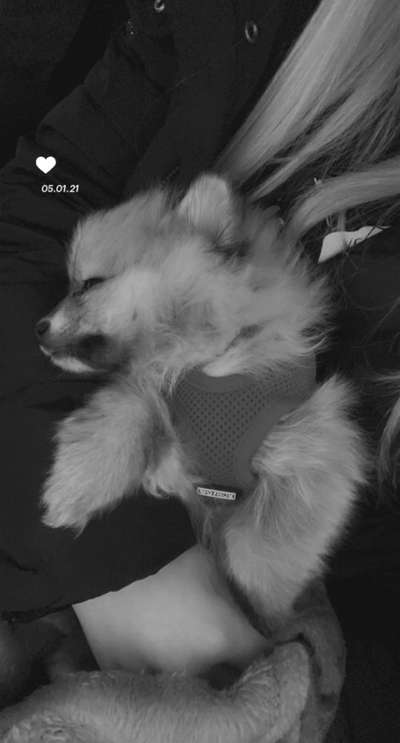 Die unbequemsten und lustigsten Schlafpositionen-Beitrag-Bild