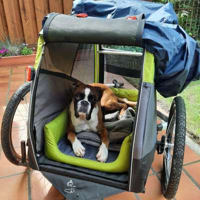 Lieblingsbild :D-Beitrag-Bild