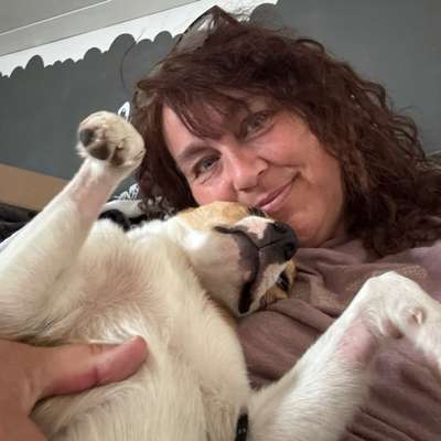 Hundetreffen-Social Walk in Bodenmais-Profilbild