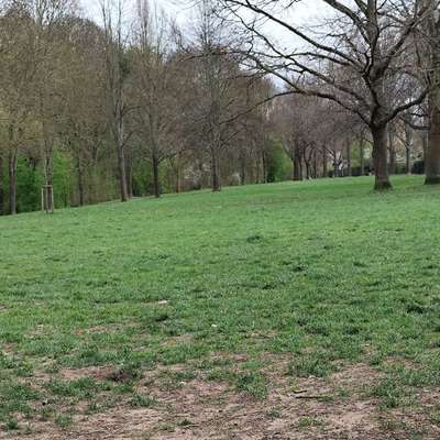 Hundeauslaufgebiet-Dölbachaue-Bild