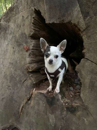 Lieblingsbild-Beitrag-Bild