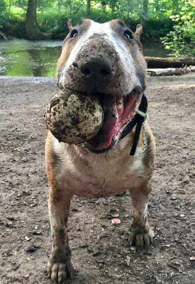 Lieblingsbild-Beitrag-Bild