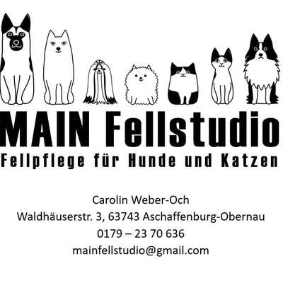 Hundefriseure-MAIN Fellstudio-Bild