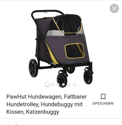 Hunde-Buggy für 2 kleinere Hunde-Beitrag-Bild