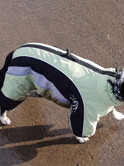 Wintermantel gesucht-Beitrag-Bild