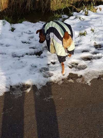 Wintermantel gesucht-Beitrag-Bild