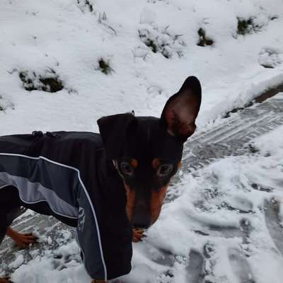 Welche Mäntel empfehlt ihr?-Beitrag-Bild