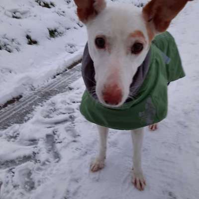 Welche Mäntel empfehlt ihr?-Beitrag-Bild