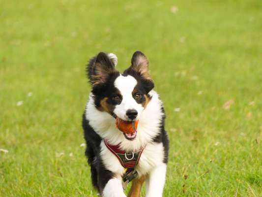 Foto Challenge die Vierte-Beitrag-Bild