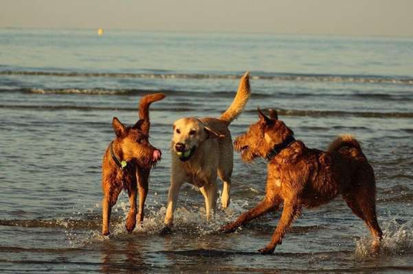 Eure Strandbilder :)-Beitrag-Bild