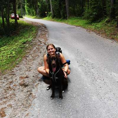 Hundetreffen-Hunderunde-Bild