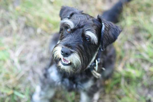 Zutreffende "Vorurteile"?-Beitrag-Bild