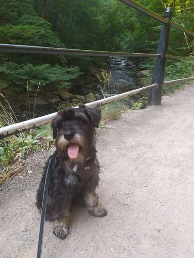 Postet eure schönsten Bilder von Spaziergängen in 2020!-Beitrag-Bild