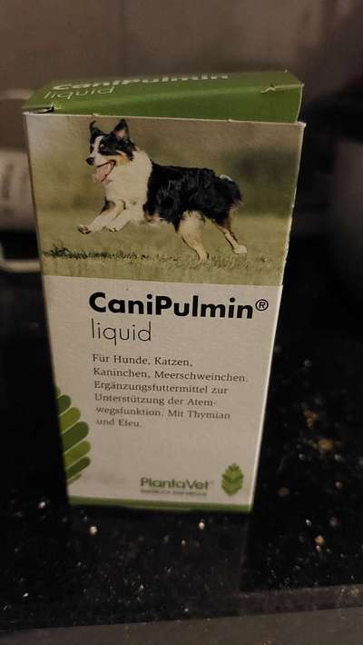 Tipps bei Erkältung-Beitrag-Bild