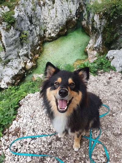 Handy-Foto Challange Nr. 10-Beitrag-Bild