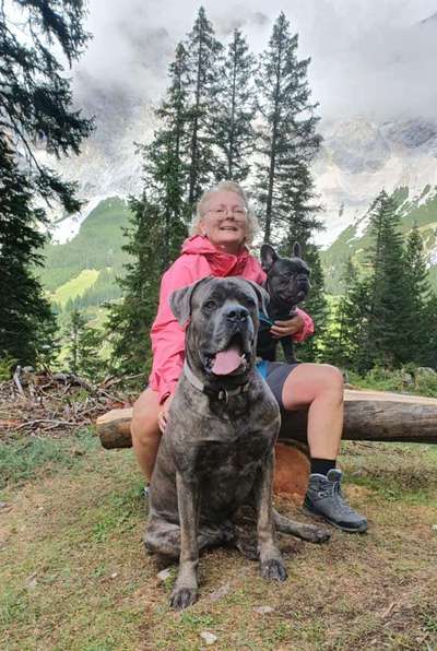 Hund abgegeben, weil Urlaub anstand? Leider kein Witz 😳-Beitrag-Bild