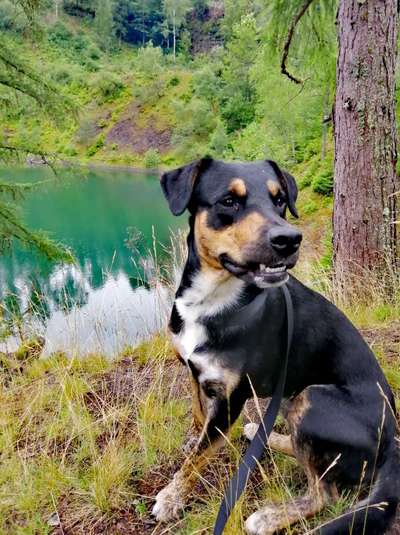 Die Dogorama Wochen Challenge: “Dein Hund im Urlaub”-Beitrag-Bild