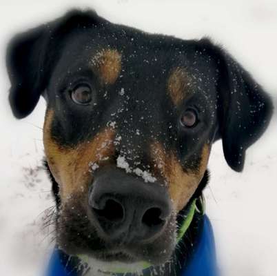 Fotochallenge 61 ~ Schnee-Beitrag-Bild