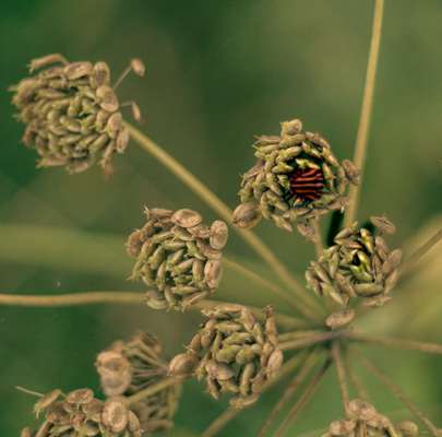 Die wunderschöne Welt mit Hund.-Beitrag-Bild