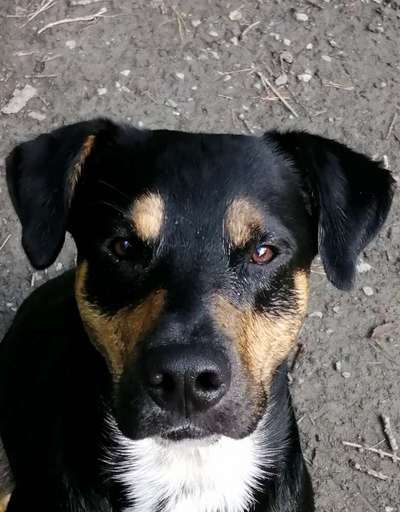 Blick fürs Detail!-Beitrag-Bild