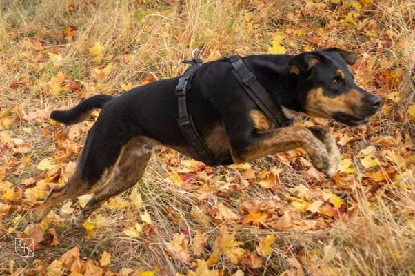 Fotochallenge Nr. 52 „Spring!“-Beitrag-Bild